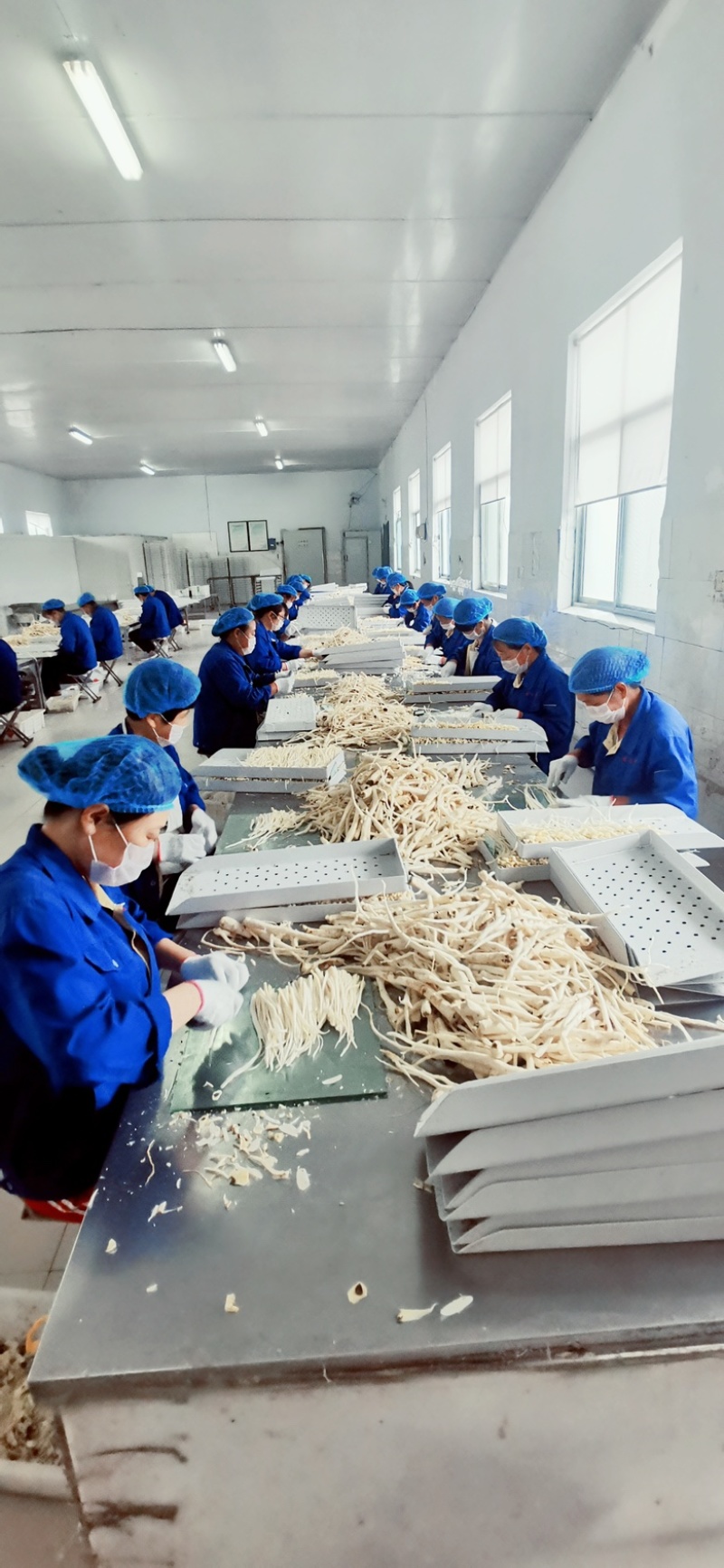 桔梗干丝，延边桔梗泡菜，凉拌桔梗，一斤泡三斤，价格私