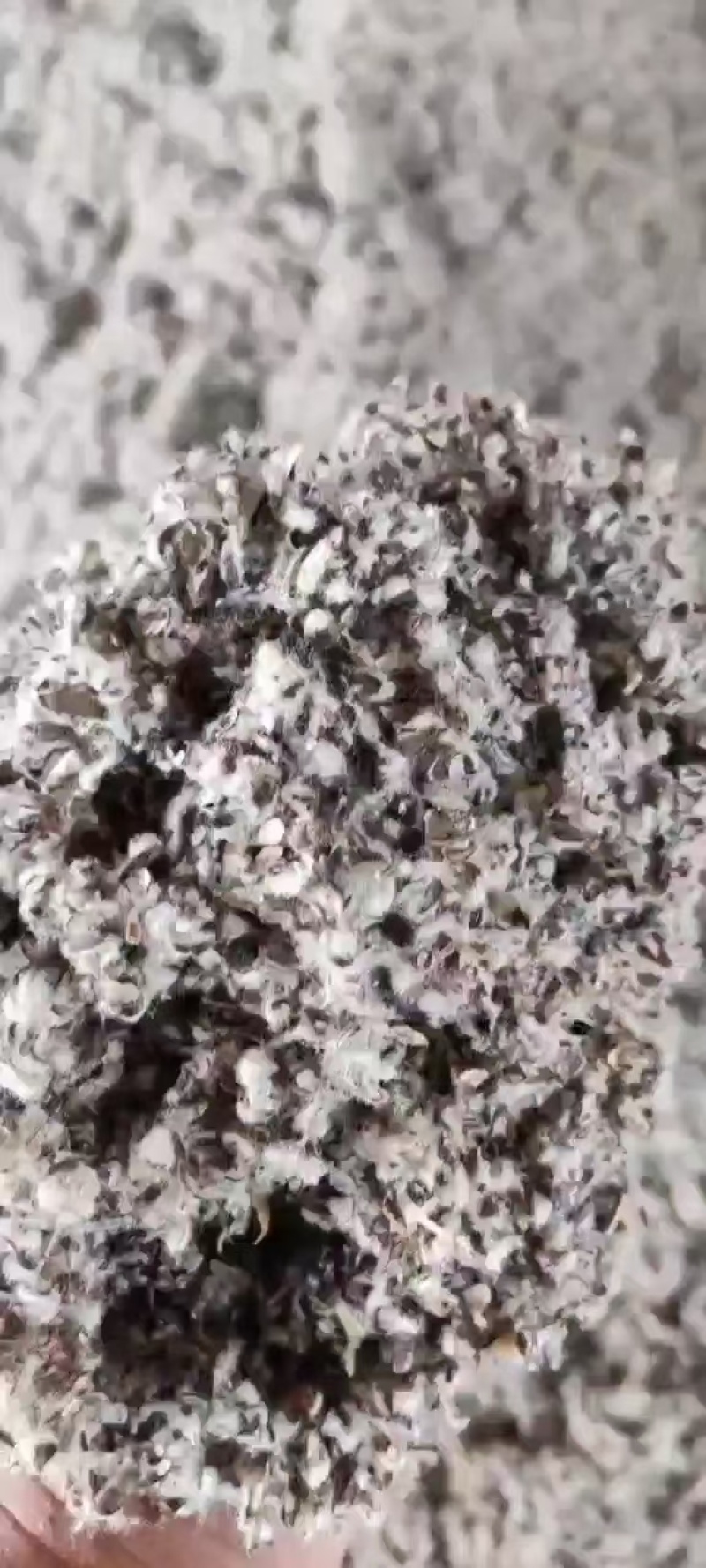 棉籽壳食用菌专用新疆棉籽壳