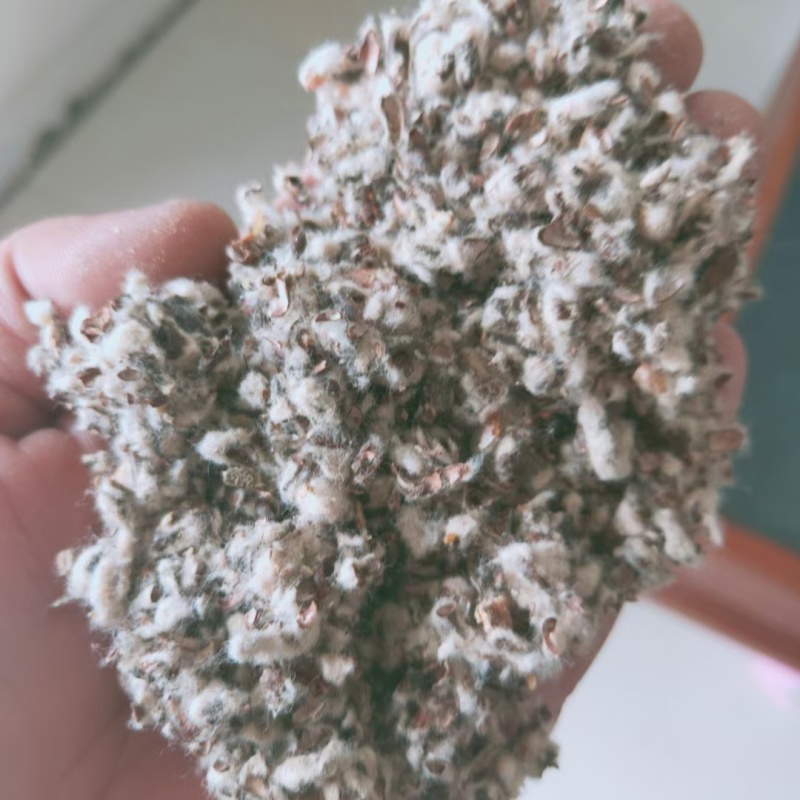 棉籽壳食用菌专用新疆棉籽壳