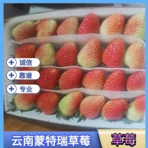 云南蒙特瑞草莓/夏草莓/大量接单产地直发欢迎来电