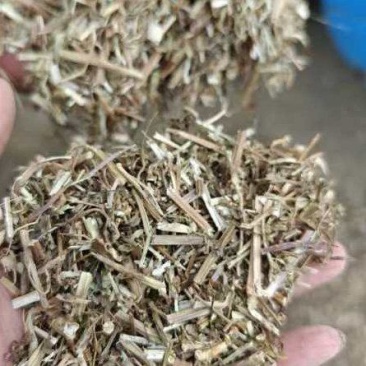 花生秧牛羊草料大草小草优质花生秧牛羊马鹿驴羊驼都爱吃