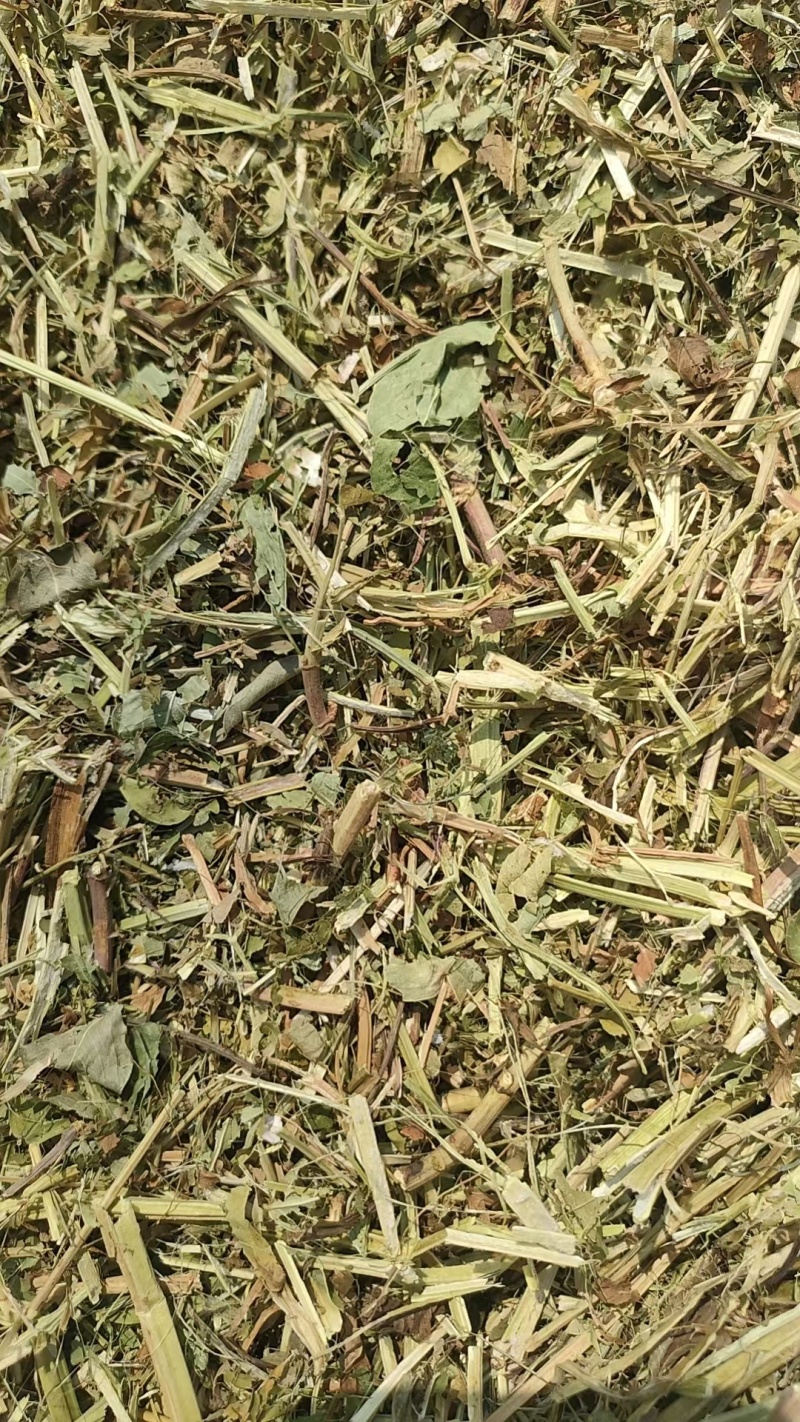 花生秧牛羊草料大草小草优质花生秧牛羊马鹿驴羊驼都爱吃