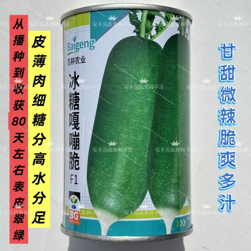 冰糖嘎嘣脆萝卜种子糖分高薄肉细水果萝卜种子甘甜多汁青皮萝