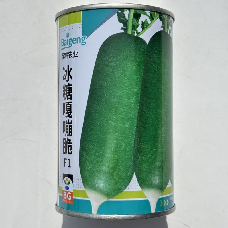 冰糖嘎嘣脆萝卜种子糖分高薄肉细水果萝卜种子甘甜多汁青皮萝