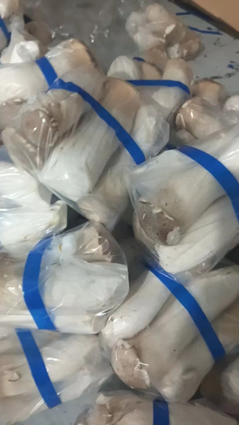 【推荐】杏鲍菇/小二菇/对接商超批发市场/欢迎咨询
