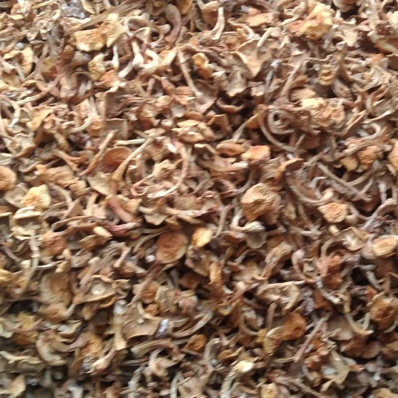 【新货上市】滑子菇干小东北小黄蘑剪根朵形整齐