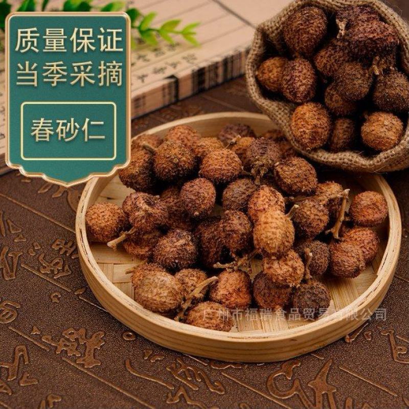春砂仁，阳江特产，质优价美，一件代发