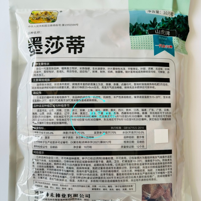 墨莎蒂菠菜种子一代杂交圆叶菠菜种子抗病耐寒软糯无渣