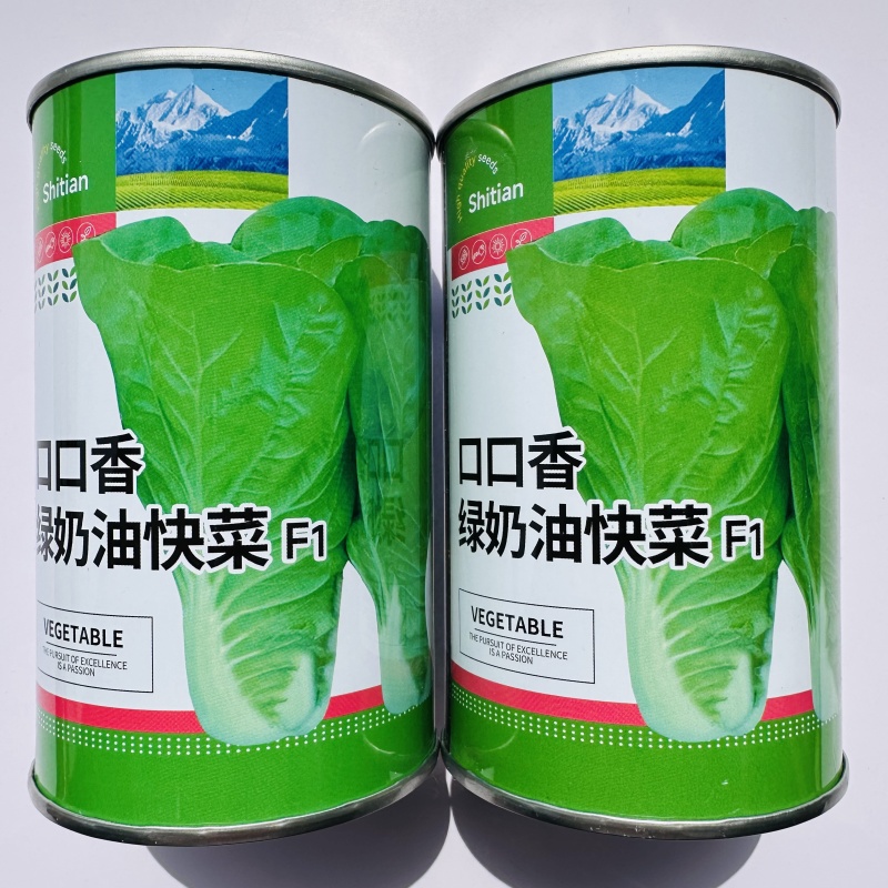 快菜种子春秋冬季蔬菜种子大全奶油快菜种孑