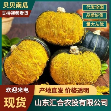 山西精品大贝贝南瓜市场货电商货板栗味南瓜老瓜包邮一件代发