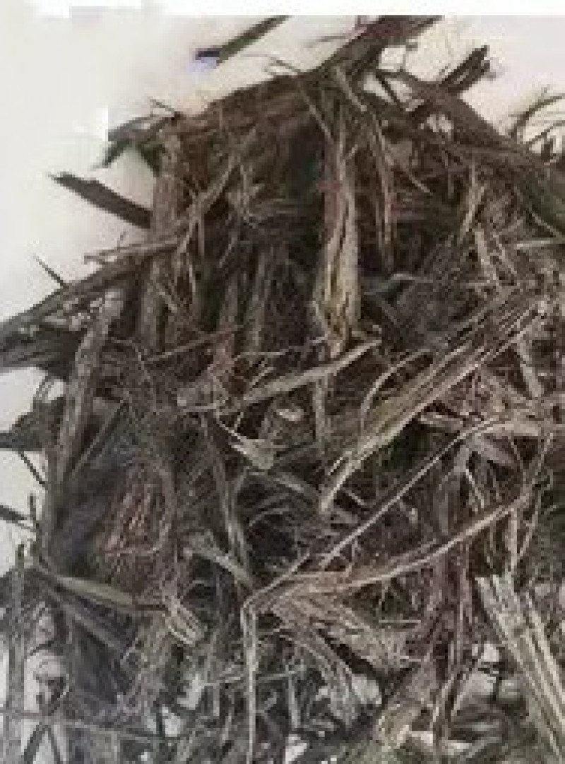染色树皮发酵树皮园艺覆盖物