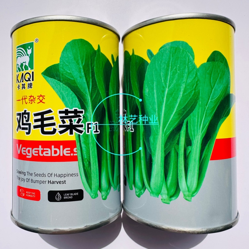 卡其牌鸡毛菜种子早熟耐热耐湿青菜种子口感甜糯生长