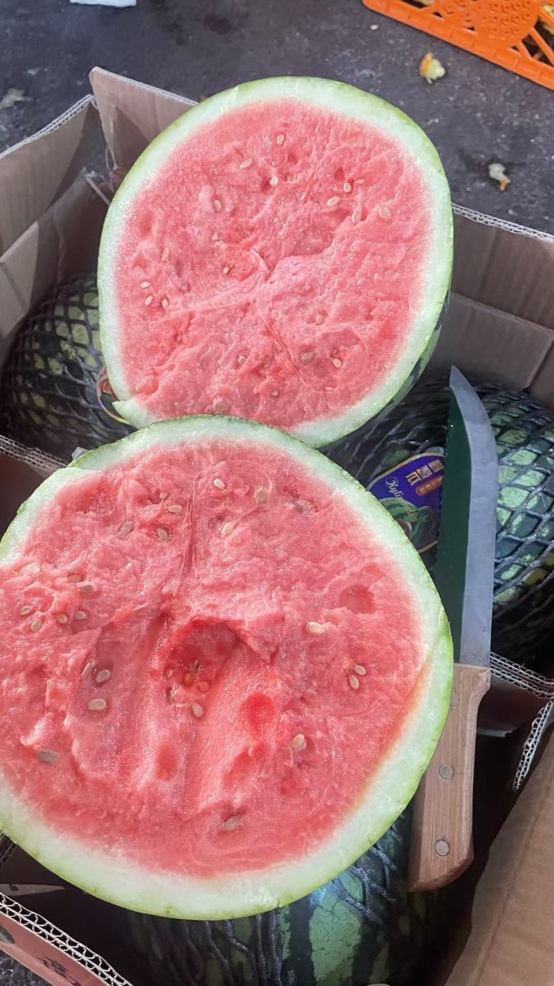 麒麟西瓜专业代卖代销有多个市场档口代卖各种水果欢迎洽谈