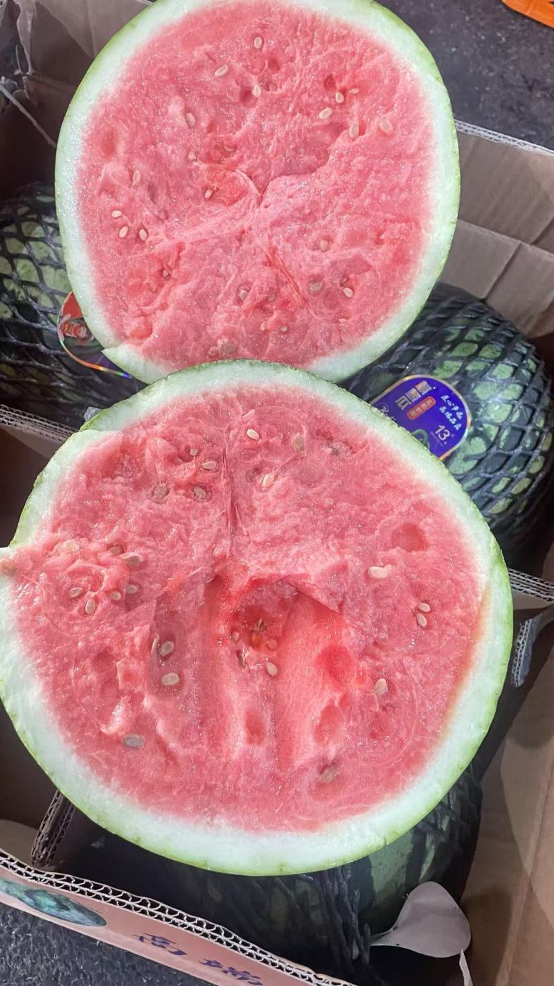 麒麟西瓜专业代卖代销有多个市场档口代卖各种水果欢迎洽谈