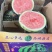 麒麟西瓜专业代卖代销有多个市场档口代卖各种水果欢迎洽谈