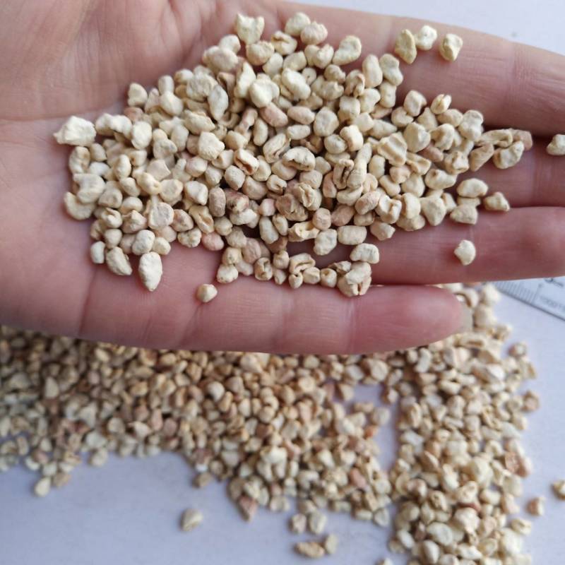 玉米芯多种规格抛光玉米芯食用菌栽培