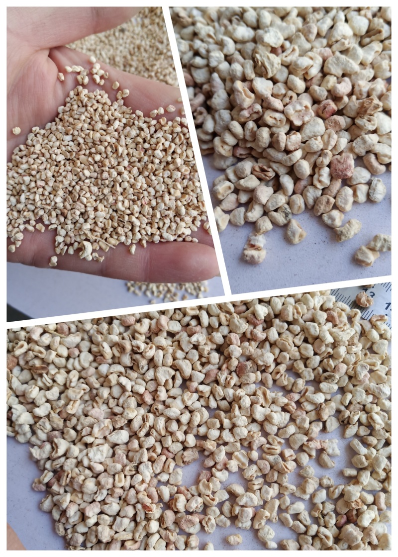 玉米芯多种规格抛光玉米芯食用菌栽培