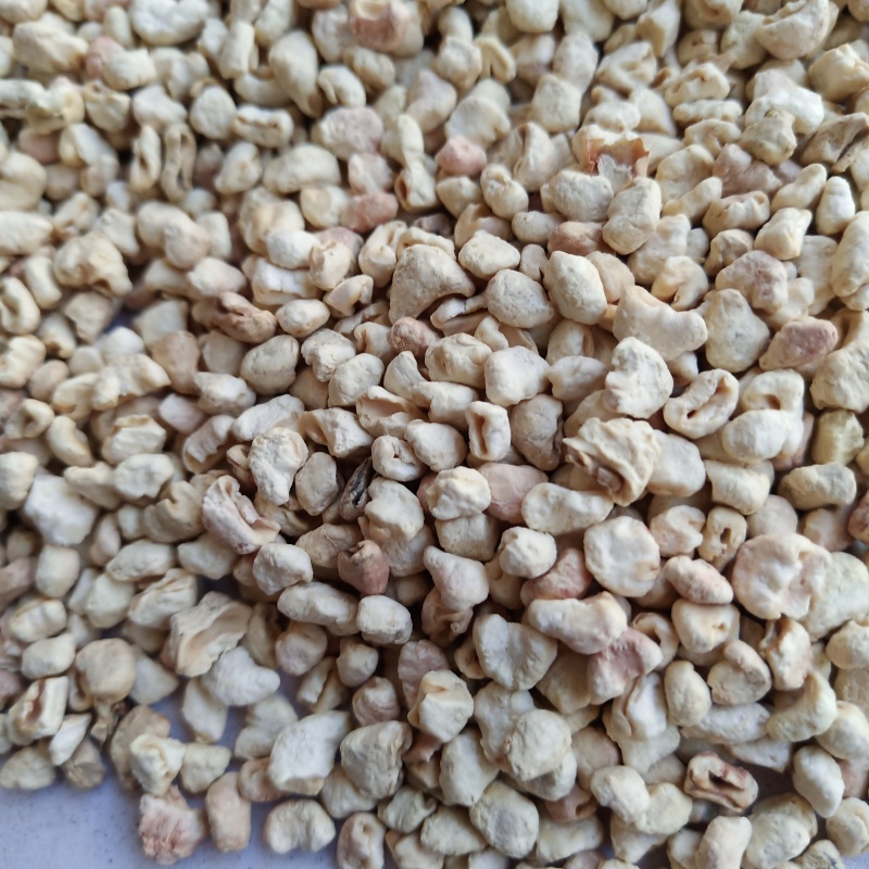 玉米芯多种规格抛光玉米芯食用菌栽培