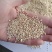 玉米芯多种规格抛光玉米芯食用菌栽培
