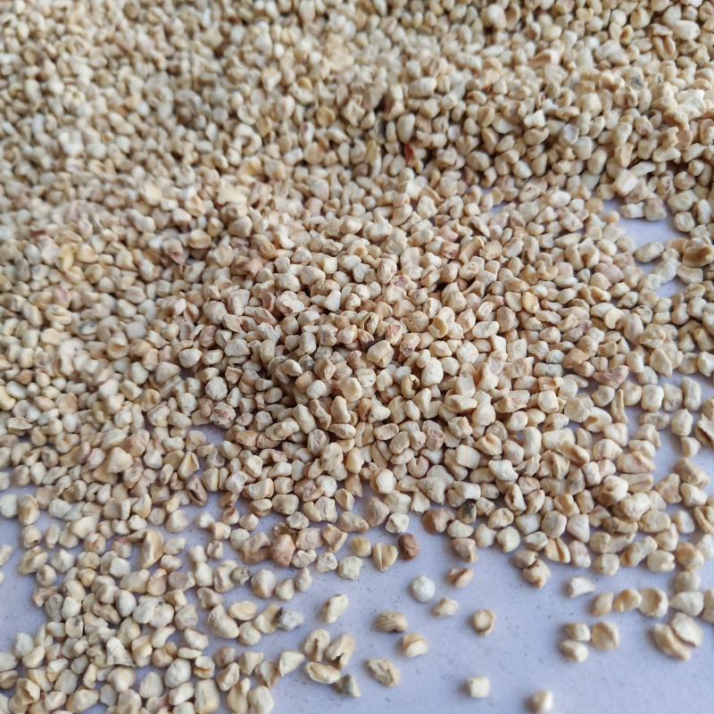 玉米芯多种规格抛光玉米芯食用菌栽培