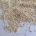玉米芯多种规格抛光玉米芯食用菌栽培
