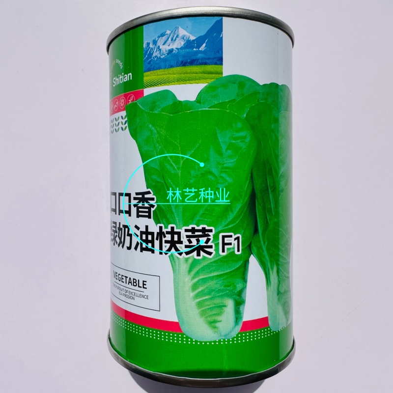 口口香绿奶油快菜种子快速生长蔬菜种子小白菜耐寒耐热四季青