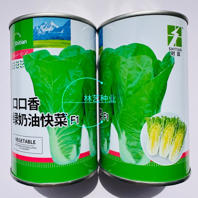 口口香绿奶油快菜种子快速生长蔬菜种子小白菜耐寒耐热四季青