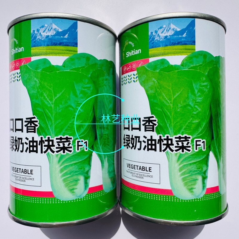 口口香绿奶油快菜种子快速生长蔬菜种子小白菜耐寒耐热四季青
