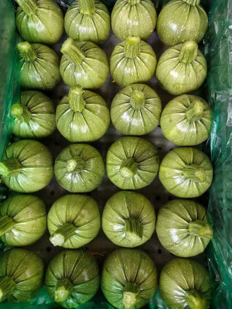 圆瓜云南好货