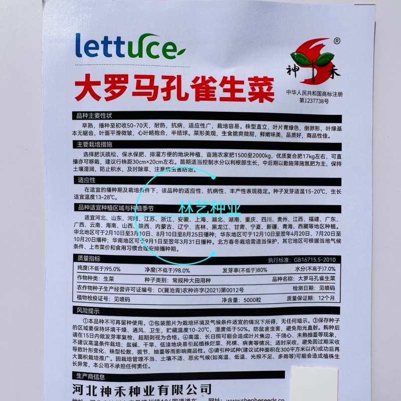 大罗马孔雀生菜种直立生菜种子大叶速生菜种子四季播种可生吃