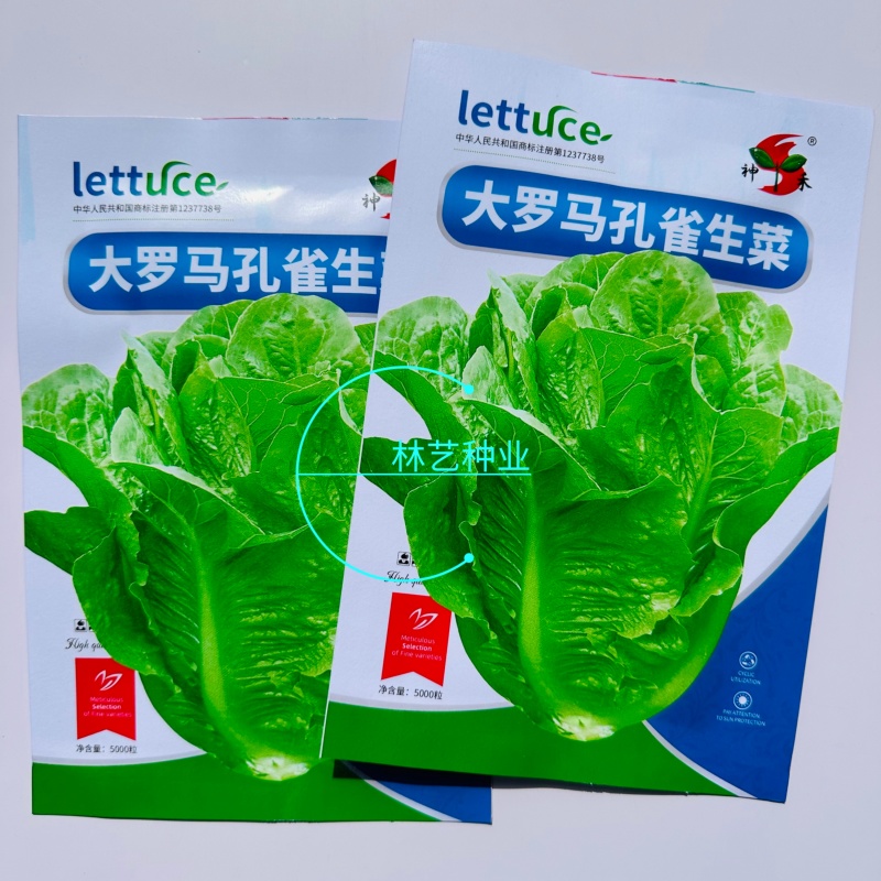 大罗马孔雀生菜种直立生菜种子大叶速生菜种子四季播种可生吃