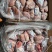 牛宝牛牛牛宝精品货质量稳定供应链厂家直销
