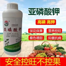 亚磷酸钾叶面肥