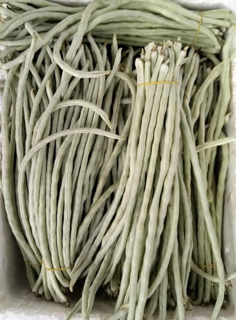冠天下长白龙豇豆种子高产特长白条豆角种子早熟白玉豇豆种籽