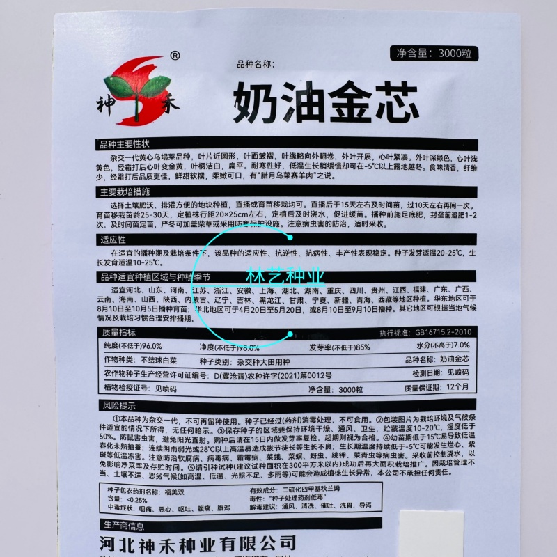 奶油金芯乌塌菜种子矮棵型一代杂交种乌塌菜鲜甜软糯黄心乌籽