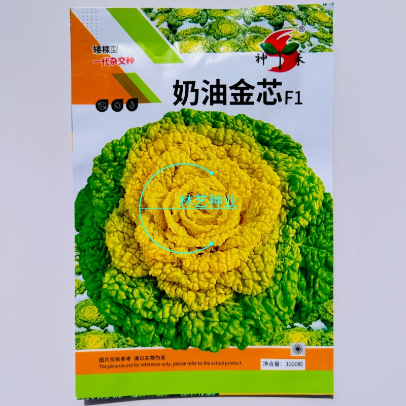 奶油金芯乌塌菜种子矮棵型一代杂交种乌塌菜鲜甜软糯黄心乌籽