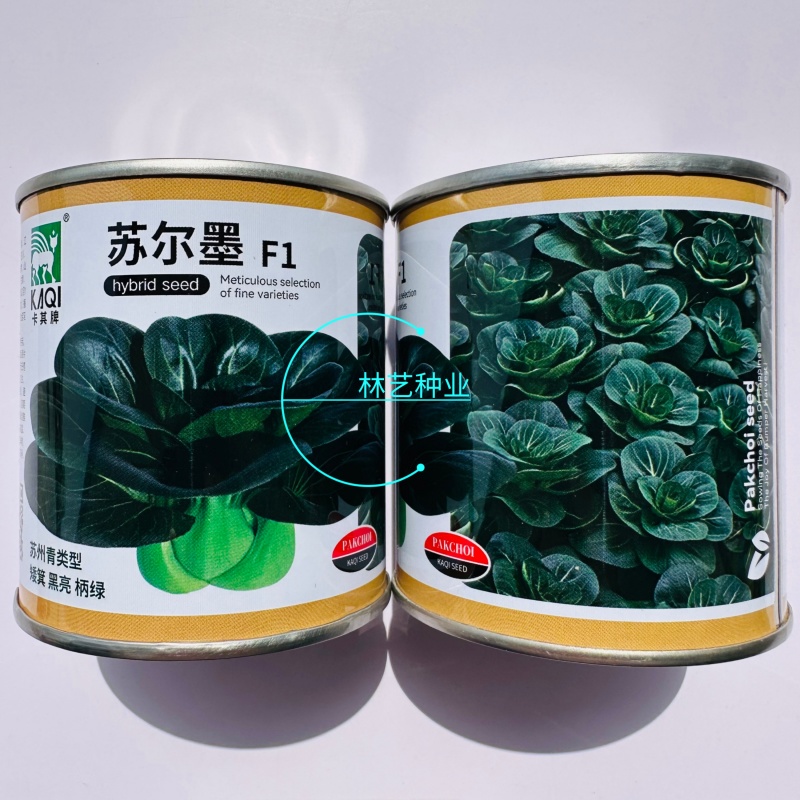 苏尔墨杂交黑亮青梗菜苏州青种子速腰青根菜种子南北方四季播