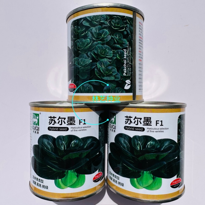 苏尔墨杂交黑亮青梗菜苏州青种子速腰青根菜种子南北方四季播