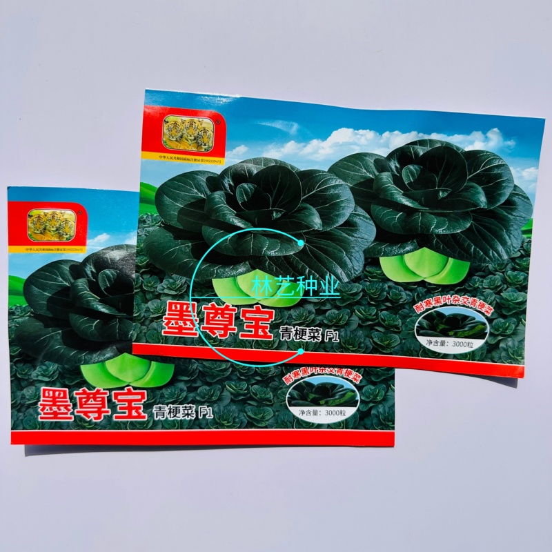 夏尊宝杂交苏州青梗菜种子株型矮大头束腰黑绿肥厚耐热耐湿耐
