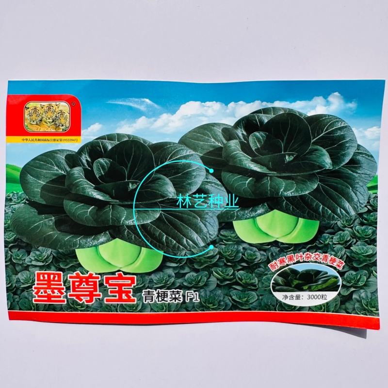 夏尊宝杂交苏州青梗菜种子株型矮大头束腰黑绿肥厚耐热耐湿耐