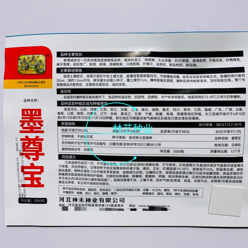 夏尊宝杂交苏州青梗菜种子株型矮大头束腰黑绿肥厚耐热耐湿耐