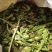 东北山野菜.野生刺老芽刺五加蕨菜.各种山野菜
