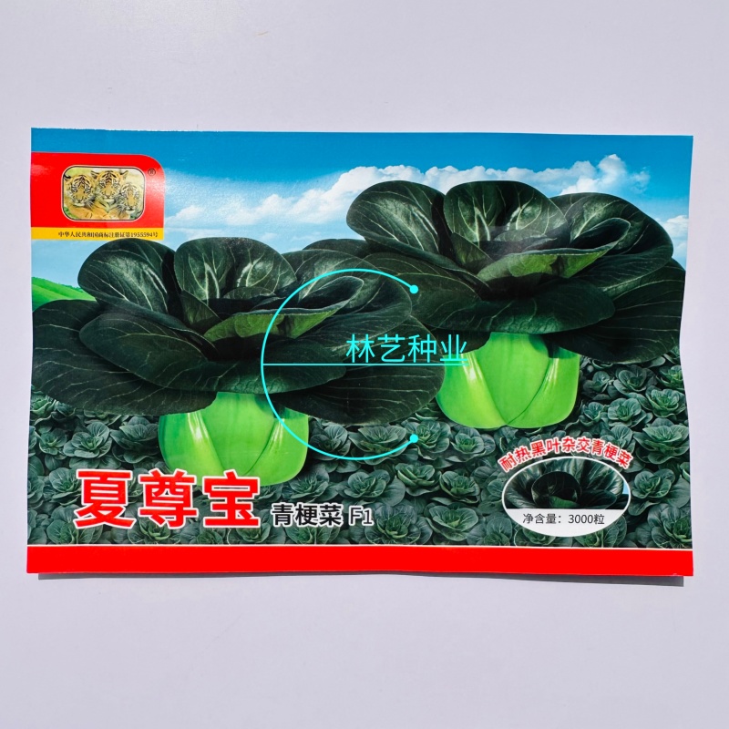 夏尊宝杂交苏州青梗菜种子株型矮大头束腰黑绿肥厚耐热耐湿耐