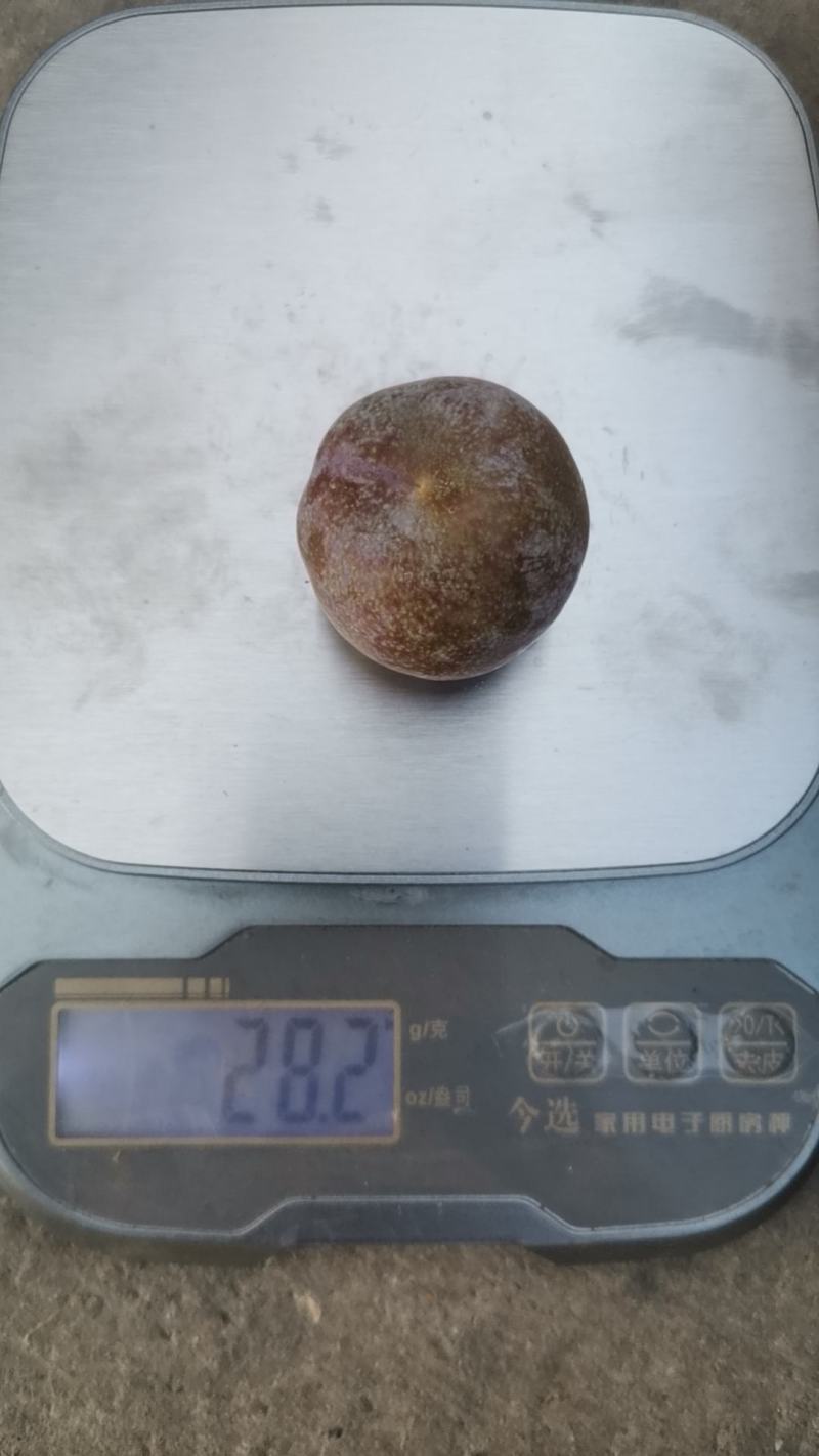 云南玉溪三华李产地大量有货也可视频看货欢迎来电咨询