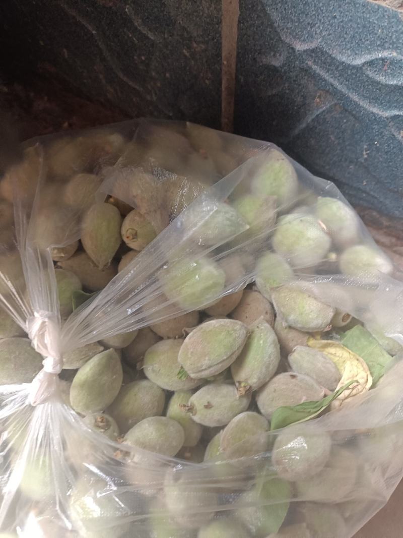 小青桃果脯一手货源充足