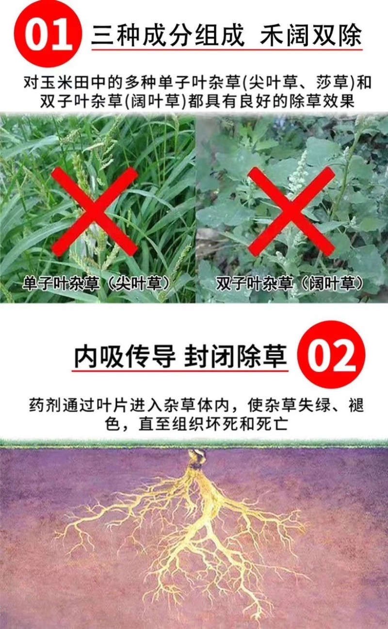硝烟莠去津玉米田年后专用除草剂除草➕封草
