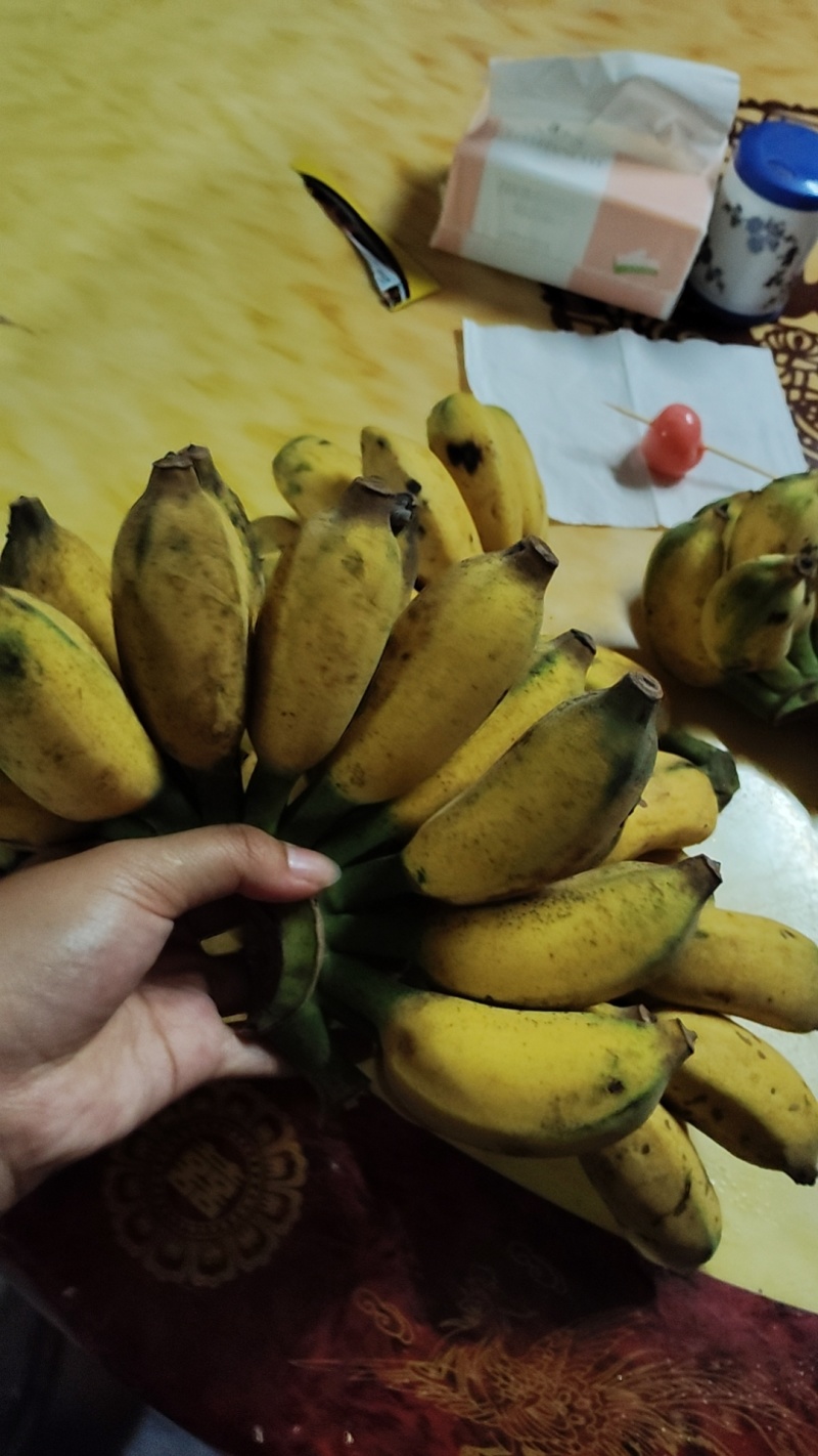 广西香蕉