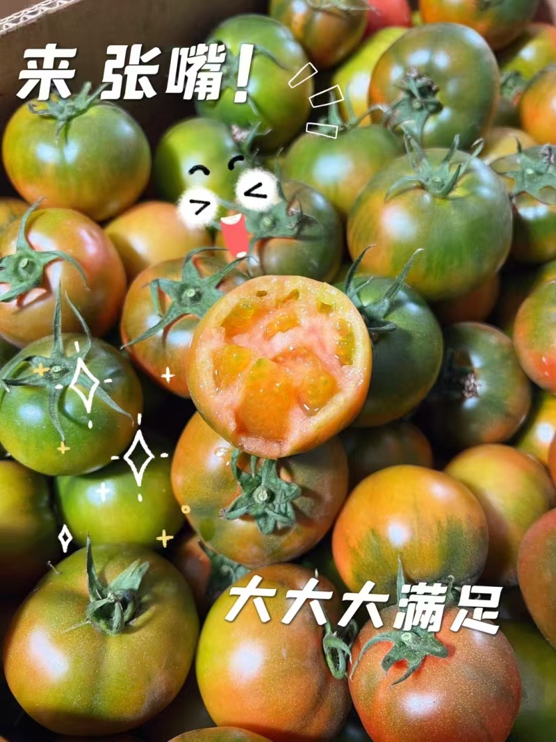 盘锦铁皮柿子中果5斤