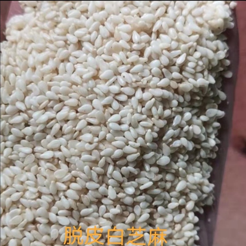 【白芝麻】熟白芝麻，脱皮白芝麻，脱皮熟白芝麻仁，颗粒饱满