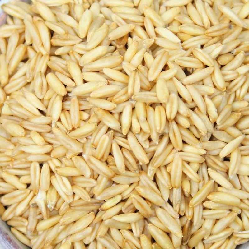 燕麦米，新燕麦米，国产燕麦米，进口燕麦米